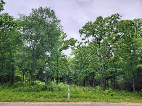 0 Dusti Rd, Eustace, TX 75124 photo 2