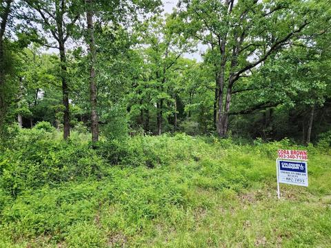 0 Dusti Rd, Eustace, TX 75124 photo 6