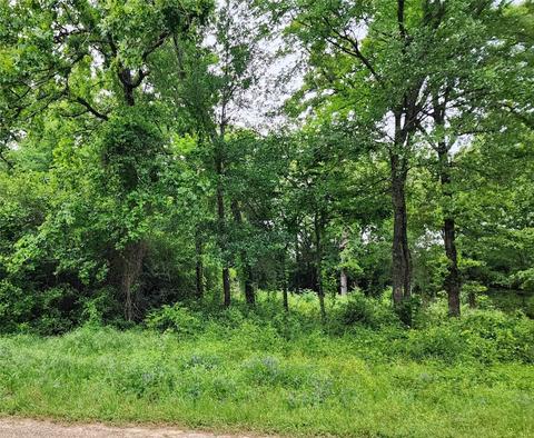 0 Dusti Rd, Eustace, TX 75124 photo 3