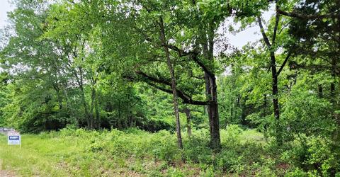0 Dusti Rd, Eustace, TX 75124 photo 4