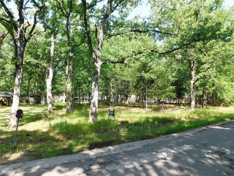 1253 Arrowhead Dr, West Tawakoni, TX 75474
