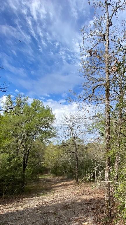 tbd 16 Fm 1848, Buffalo, TX 75831