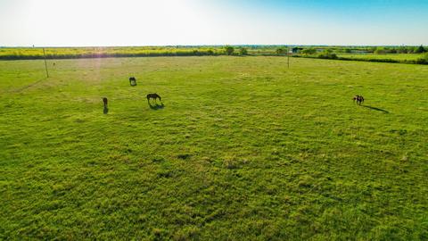 Tbd Peterson Road, Iowa Park, TX 76367