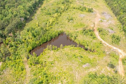 Tbd Narcissus Road, Ore City, TX 75683