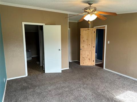 1115 County Rd 4045, Ector, TX 75439 photo 33