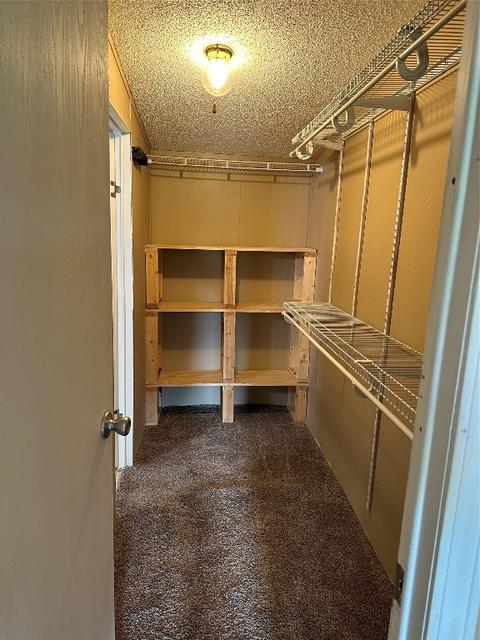1115 County Rd 4045, Ector, TX 75439 photo 38