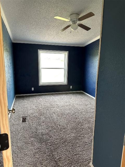 1115 County Rd 4045, Ector, TX 75439 photo 31