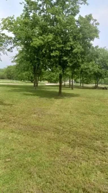 8269 Lakeview Dr, Lone Oak, TX 75453