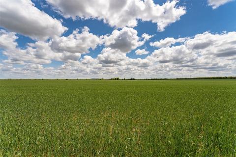 3 Texas 206, Coleman, TX 76834