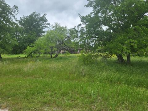 35018 S Shadywood Ln, Whitney, TX 76692