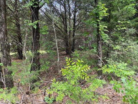 Tbd Pvt Rd 7926, Wills Point, TX 75169