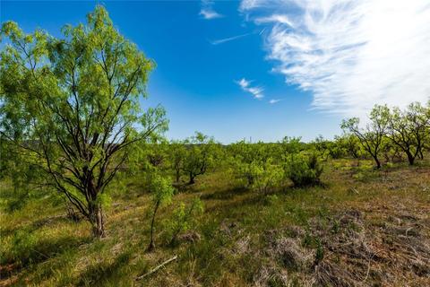 Tbd County Road 321, Abilene, TX 79606