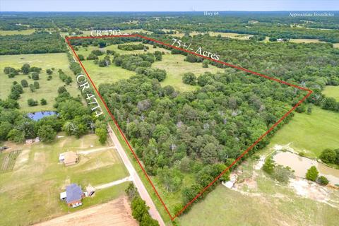 Tbd Vz Cr 4714 Road, Ben Wheeler, TX 75754