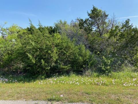 30023 Stonedale Dr, Whitney, TX 76692