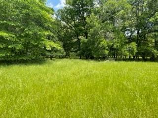 Tbd 7 Fm 1848, Buffalo, TX 75831