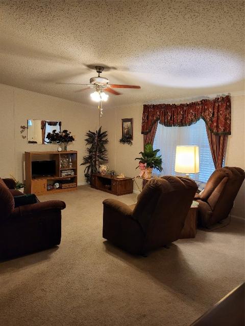 386 Wright Rd, Stonewall, LA 71078 photo 5