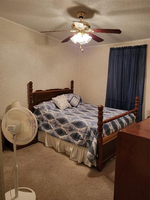 386 Wright Rd, Stonewall, LA 71078 photo 23