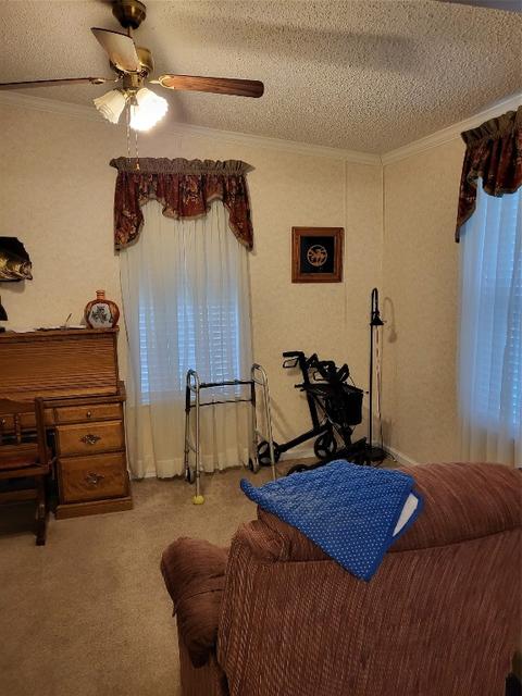 386 Wright Rd, Stonewall, LA 71078 photo 14