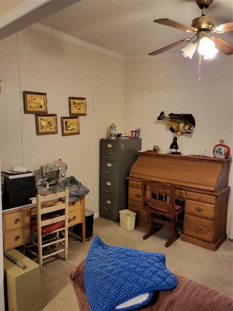 386 Wright Rd, Stonewall, LA 71078 photo 15