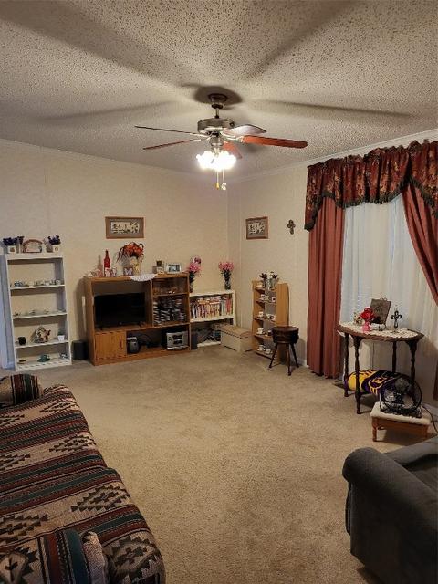 386 Wright Rd, Stonewall, LA 71078 photo 21