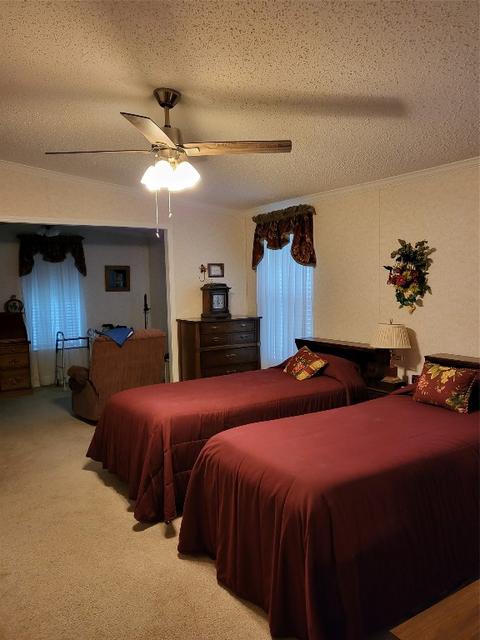 386 Wright Rd, Stonewall, LA 71078 photo 12