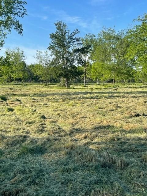 Tbd Lot B SW County Road 2385, Wortham, TX 76693