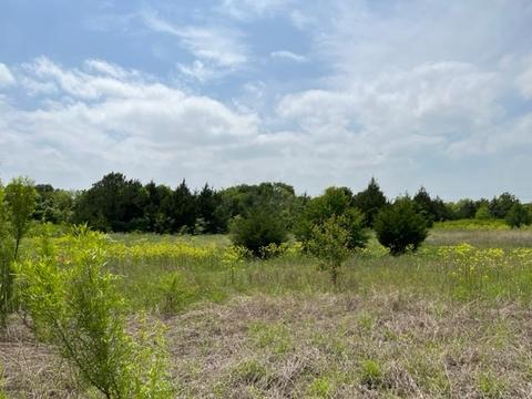 965 County Road 705, Joshua, TX 76058