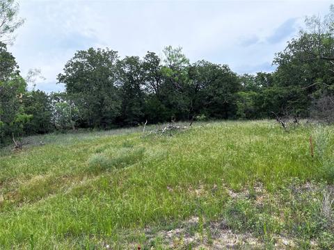 5 Cheyenne Dr, Bridgeport, TX 76426