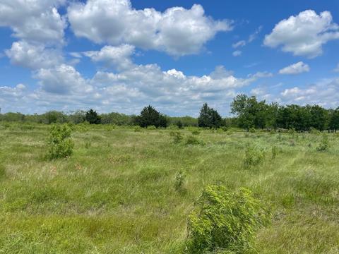 Tbd Boren Private Road, Wortham, TX 76693