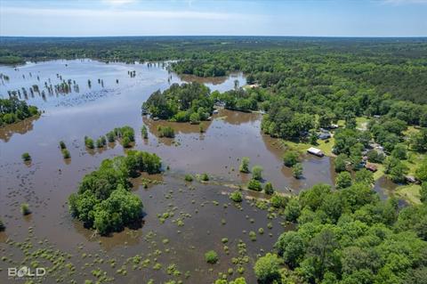 600 Hanson Dr, Doyline, LA 71023 photo 34