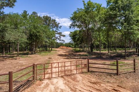 Tbd Vzcr 4904, Ben Wheeler, TX 75754