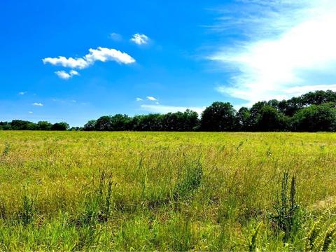 Tbd Cr 1126 Ws, Cumby, TX 75433
