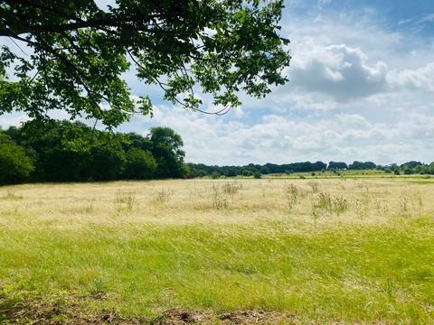 Tbd Julian Lot 6 Drive, Van Alstyne, TX 75495