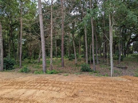 Tbd Deer Lake Lane, Bullard, TX 75757