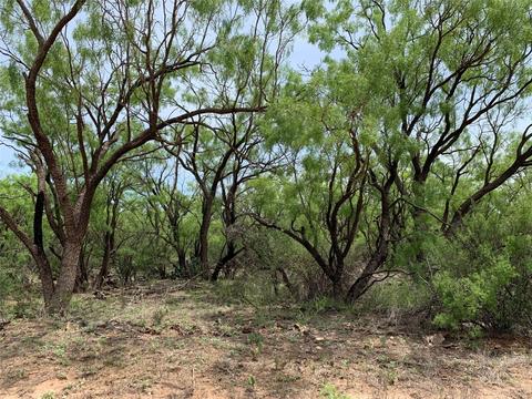 Tbd Cr 496, Merkel, TX 79536