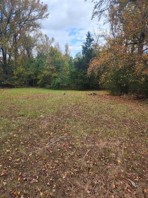 9960 Upper State Line Rd, Vivian, LA 71082