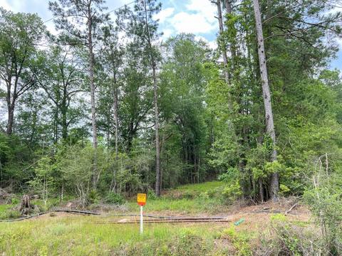 05 Old Arco Rd, Silsbee, TX 77656 photo 7