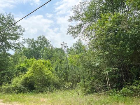05 Old Arco Rd, Silsbee, TX 77656 photo 2