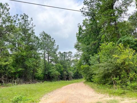 05 Old Arco Rd, Silsbee, TX 77656 photo 5