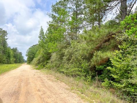 05 Old Arco Rd, Silsbee, TX 77656 photo 6