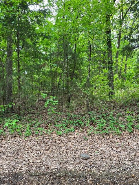 Tbd Cr 2618, Pittsburg, TX 75686