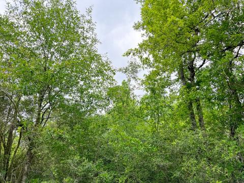 0000 Cravens Camp Rd, Silsbee, TX 77656