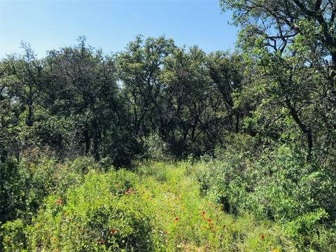 395 County Road 175, Bangs, TX 76823 photo 3