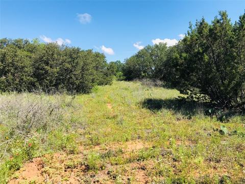395 County Road 175, Bangs, TX 76823 photo 23