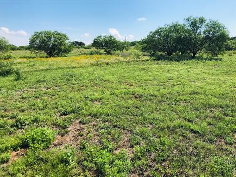 395 County Road 175, Bangs, TX 76823 photo 6