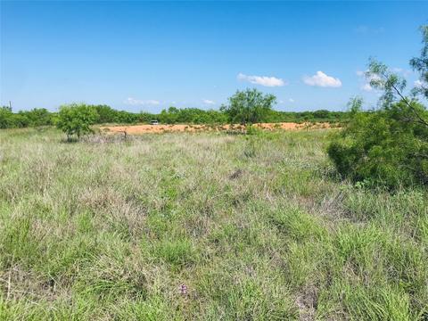 395 County Road 175, Bangs, TX 76823 photo 11