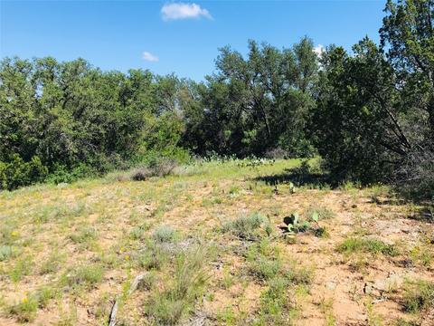 395 County Road 175, Bangs, TX 76823 photo 17