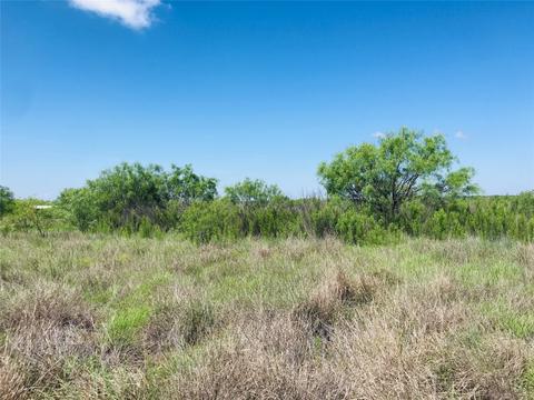 395 County Road 175, Bangs, TX 76823 photo 30