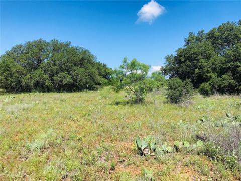 395 County Road 175, Bangs, TX 76823 photo 26