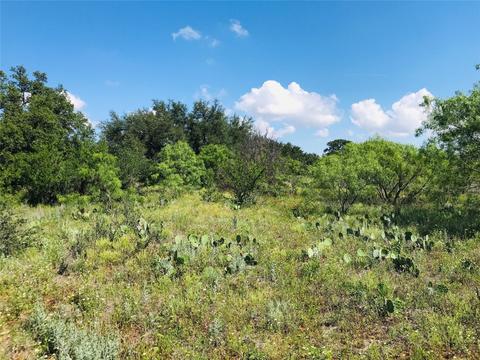 395 County Road 175, Bangs, TX 76823 photo 25